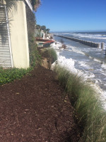 77d103caef582329dec72f33297c4580d145ef2c