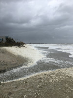 50caf72624bc5519653e9c4e67672d2775a5eb72