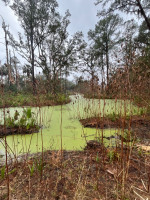 b08ebff0e5971d5b59b2ed0467452d2ccb0fa3ed