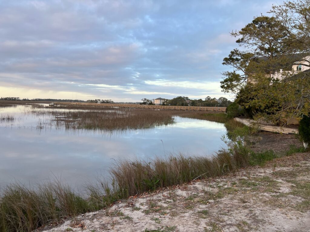 a body of water with trees and a building in the background (MyCoast AI)