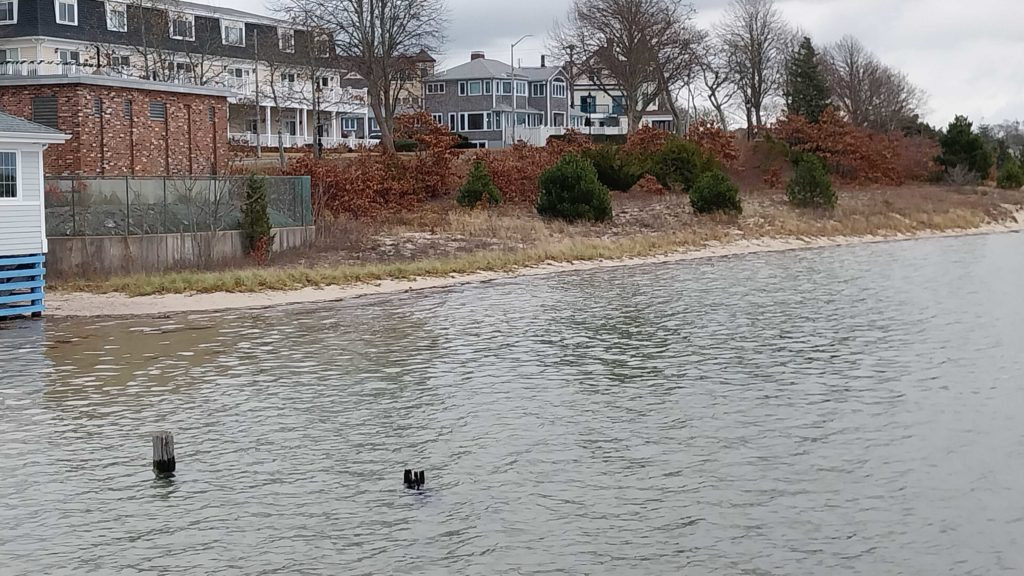 Tides Report Wareham, MA MyCoast
