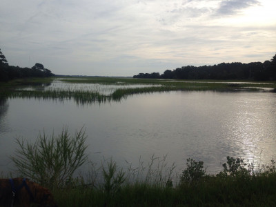 0e62684137a474e82ddaaedf6da4e7220373922e