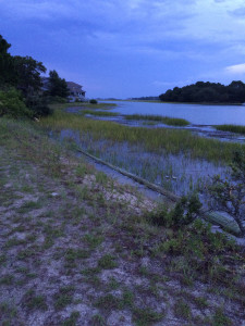 baa1e19491562a0b52516e08f2bd2ff95bd7f558