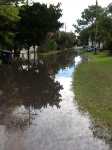 23f2067177b53b2460eb41b10f3d966bed79af1c