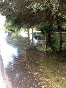 d8dca5710dc21d03936b8d2588551c3ab1b058e2