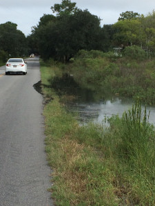 55c881333fb4e6e5234fac2cdb9fc4c9427918ca