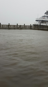 20151027_081400_resized