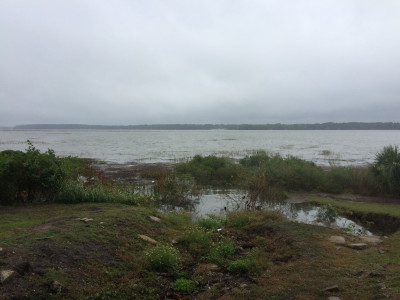 e2ec9f97a5114129524983f2d82a688f83f89193