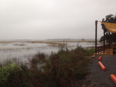 7667c0516cd56da426ae214bbf6997ff045f62bd