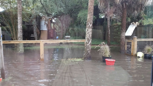 4eefb962e50ba11e4d30084460e41651268c3e49