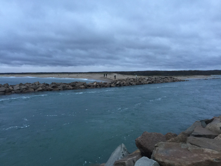 8306db8ac85b0a3e4de515dacb676effea29418a