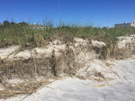 375661c0ce9ad4217147568c842f605e6bf65a15