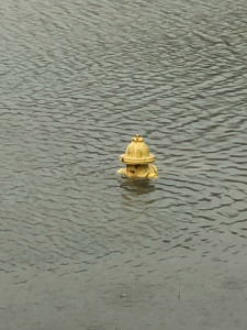 dc5bae70a42a915cea0789806eca0d3846dfa863