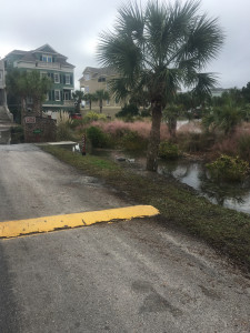 f7e069dc66d2f47bc7a4c4ac11c183e8014118df