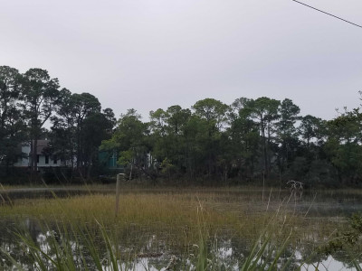 42f9a110ca42d29ee69cdc16b7bc3735cead5f6b