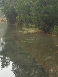 2932ca4a337b4a4dcad282095879bc6cb06cca06