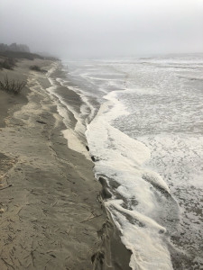 c15f845c10d0345555406de19a8c4a43431a8eaa