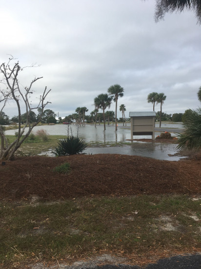 37b2eb710c4ea0afe1ac343a2774f1452947247b