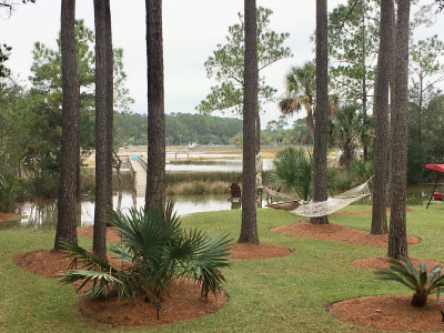 cd6d5f2dbaf8e412b0d0e5bc8c6bdfe00164d223