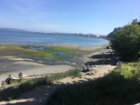 42804237517ac53f597e68baa6f60b2ad9397be0