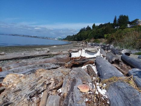 dc455990e5dd17a3a2f7ce13c9c7b6523a77604a