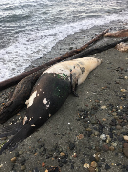 0abc6e7e5a3bbd1060690067ec72db99df151d45