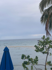 62aac56f8b2f030a82190eea3325b53a111ecf22