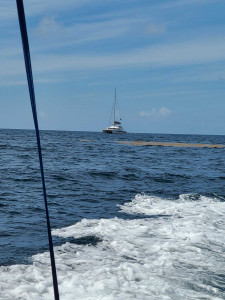 b6ce35fffb176a2b7b1945603b634426930b9977