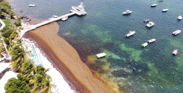 f0a310c4c03af60afe0d2f9e3b569b28143c02b1