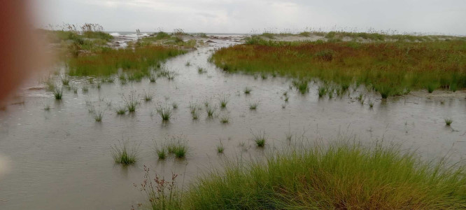 b493de6e72bd1dacf73ba12f5df585387a2c9a80