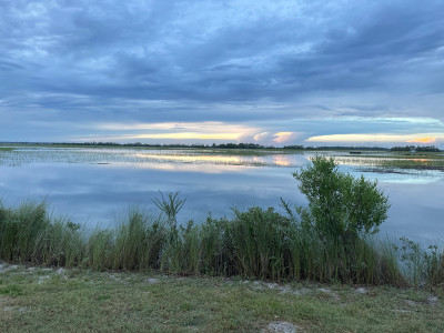 8e54f5c8a229d47e881c55255a89aa5b5ce59d2d