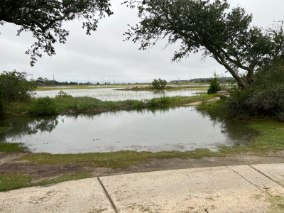 17a83772ad7dee03bee2a2029570798d81bc4fef