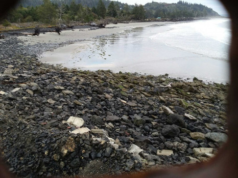 a51f55e88ebab483b3f38529954fb823ea61044e