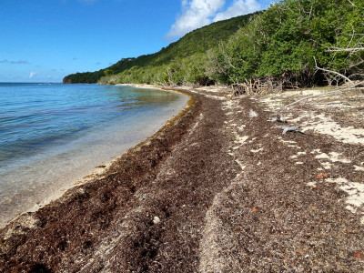 39208477f1fd02d7b41d43ee0578cb9839e484f8