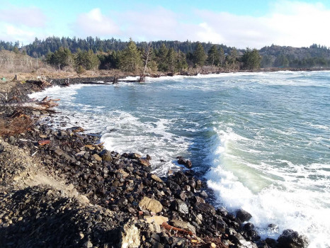 851fb8b88b5c8cfe451d1029a84c2d38887a356f