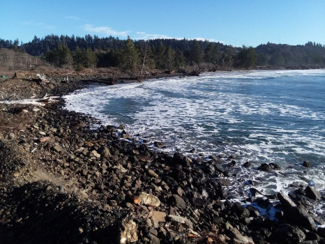 7217a44c6a58aab8cb18a1898ecfbd71369d5a5e