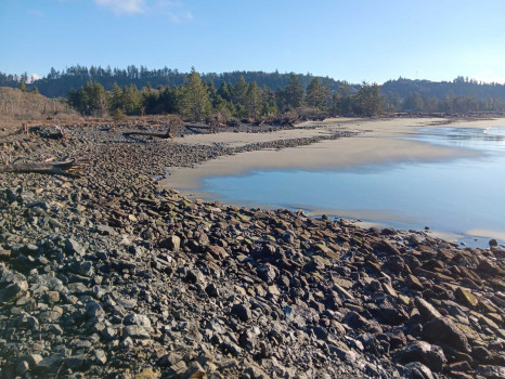 a88d10959efb66a6184fe5292cc338c9c4c56ced