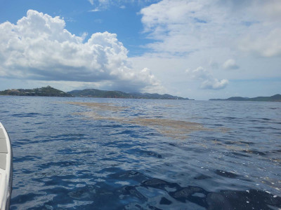 8cfe6f6960986128c8309650470a4e230dd28a30