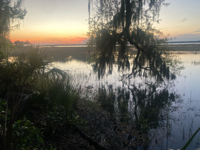 a402ffbf6a02ae0337764201c37dbc492e395c74