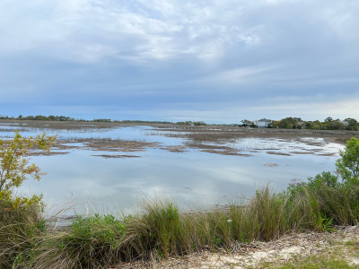 85cee00b9665f8ffd9849cf2e2e80d18f357dc05