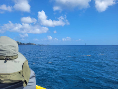 0eb37fb07712e13d4eedb56ee6ead1ccbaf98e4a