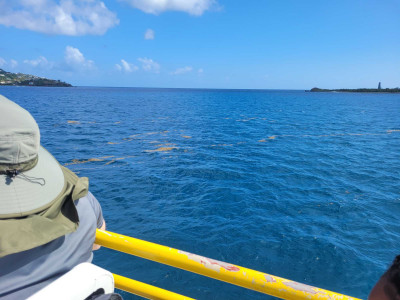 485bc57cc9e57a101cb50df709c6fe6716999986