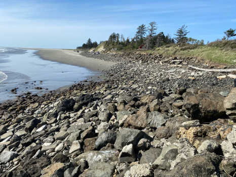 163c2667790b2e191e4c4168f621ffe79cbbc218