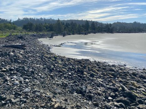 16cc2812c6bab50994f4ea9b95b568f72c397d38