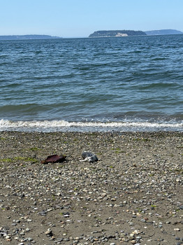 66ba327ec5517f21a1a6a32ae2a4a3832fdf58fc