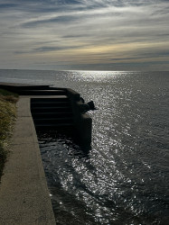 8a907c5c844ba09863c11e914ba2e13a062485d0