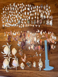 bdfb90f95d408f657bbf2ce94be23770a0b49189