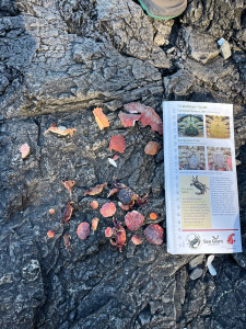 0f24a673dd90e9f8e3d73e8d712f29e383da8b2e