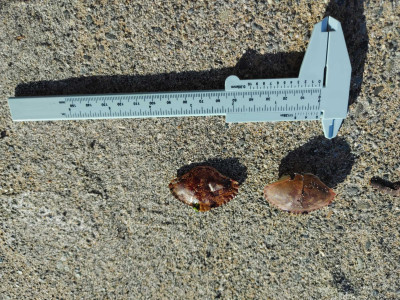 a9db916db72bfee3079973ff5df38e7c16cebfc9