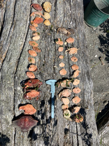 5200dad1a418abd62a6183dde2f6e9231a5f72fd